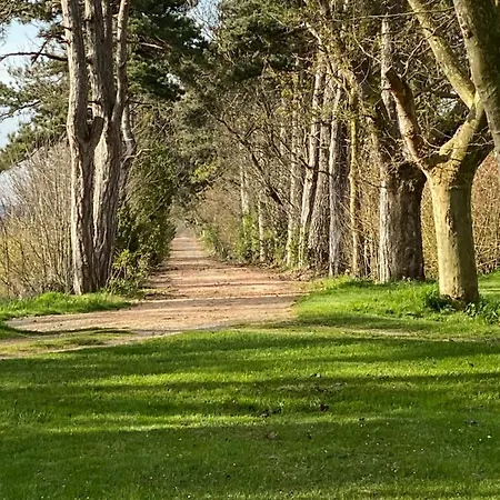 Bed & Breakfast Chateau De Lavail Labastide-dʼAnjou