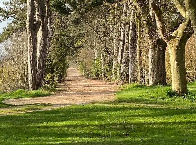 Bed & Breakfast Chateau De Lavail Labastide-dʼAnjou